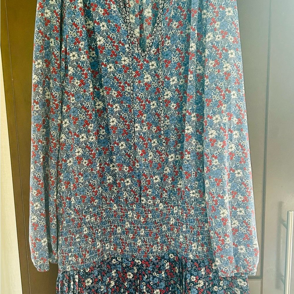 GAP Blue and Red Floral Dress
